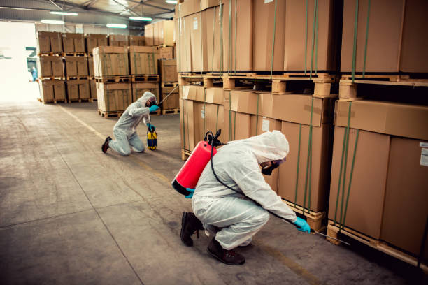 Best Residential Pest Control  in Oill, NE