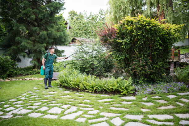 Best Commercial Pest Control Services  in Oill, NE