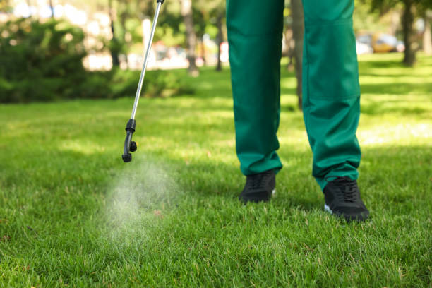 Best Emergency Pest Control  in Oill, NE