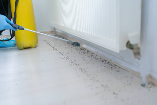 Best Exterminator Services  in Oill, NE